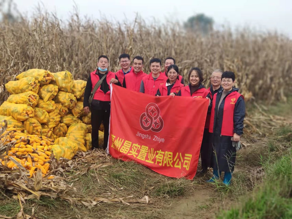 晶實置業(yè)公司開展助農(nóng)搶收志愿服務(wù)活動